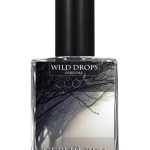 عطر ادکلن گری فُرست وایلد دراپس پرفیوم - Gray Forest (Серый Лес) Wild Drops Parfums - بررسی، قیمت و خرید