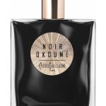 عطر ادکلن نوآر اوکومه پیر گیوم پاریس - Noir Okoume Pierre Guillaume Paris - بررسی، قیمت و خرید