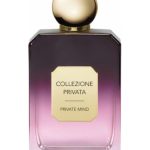 عطر ادکلن پروایوت مایند ولمونت - Private Mind Valmont - بررسی، قیمت و خرید