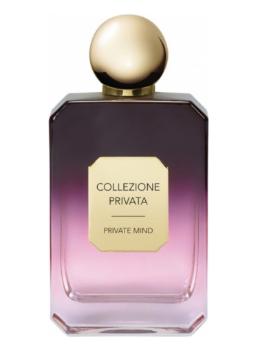 عطر ادکلن پروایوت مایند ولمونت - Private Mind Valmont - بررسی، قیمت و خرید