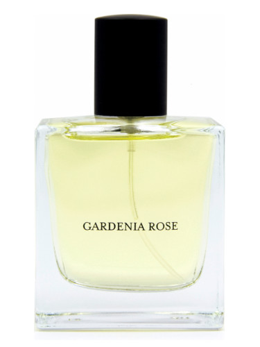 عطر ادکلن گاردنیا رُز وی دات - Gardenia Rose Vdot - بررسی، قیمت و خرید