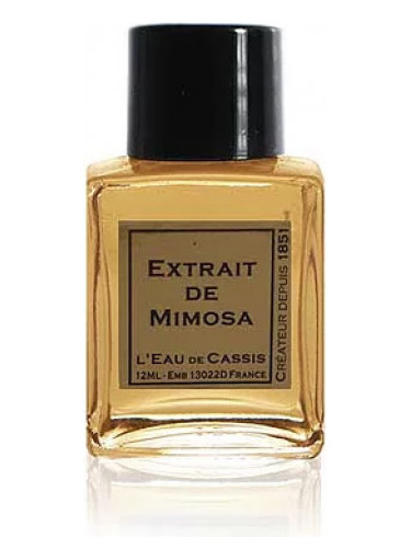 عطر ادکلن میموسا لو دوکسیس - Mimosa L'Eau De Cassis - بررسی، قیمت و خرید