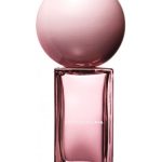 عطر ادکلن سنتور دو کایا کایِا - Senteur de Caia Caia - بررسی، قیمت و خرید