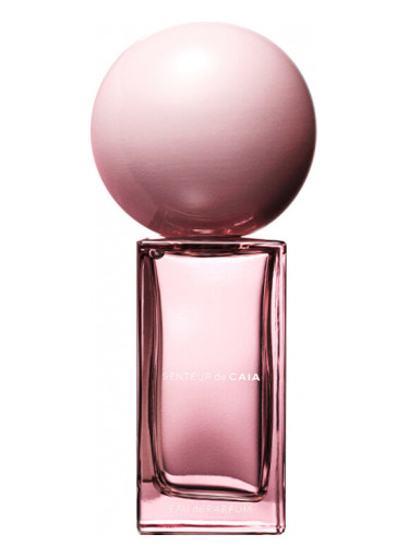 عطر ادکلن سنتور دو کایا کایِا - Senteur de Caia Caia - بررسی، قیمت و خرید