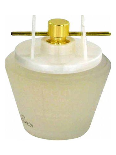 عطر ادکلن پیرسینگ ژان آرتس - Piercing Jeanne Arthes - بررسی، قیمت و خرید