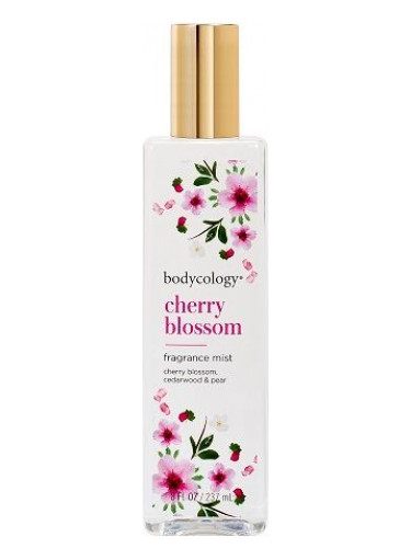 عطر ادکلن چری بلوسوم بادی کولوجی - Cherry Blossom Bodycology - بررسی، قیمت و خرید