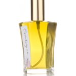 عطر ادکلن کلاسیک اسانشلی می - Classique Essentially Me - بررسی، قیمت و خرید