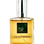 عطر ادکلن کویر ا شامپیون دی‌اس‌اچ پرفیومز - Cuir et Champignon DSH Perfumes - بررسی، قیمت و خرید