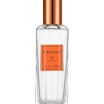عطر ادکلن آنتیمد هولیکا هولیکا - Untamed Holika Holika - بررسی، قیمت و خرید