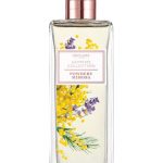 عطر ادکلن پودری میموزا اوریفلیم - Powdery Mimosa Oriflame - بررسی، قیمت و خرید