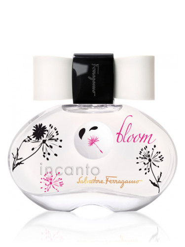 عطر ادکلن اینکانتو بلوم سالواتوره فراگامو - Incanto Bloom Salvatore Ferragamo - بررسی، قیمت و خرید