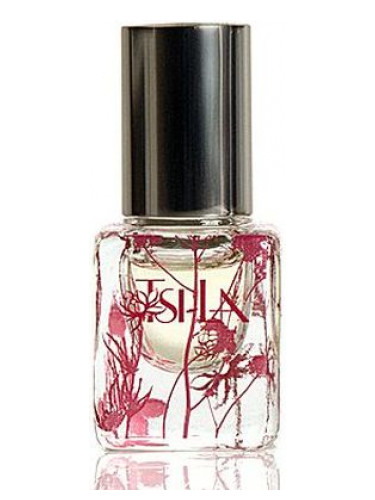 عطر ادکلن فیوری دارانچو 