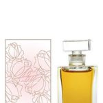 عطر ادکلن وینتر رز یوش - Winter Rose Yosh - بررسی، قیمت و خرید