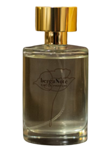 عطر ادکلن برگَنوت ارمتیچ فراگرنز - BergaNote Ermetiche Fragranze - بررسی، قیمت و خرید