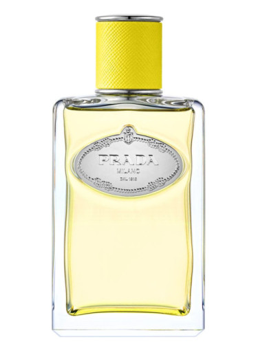 عطر ادکلن اینفیوژن دی یلانگ پرادا - Infusion d'Ylang Prada - بررسی، قیمت و خرید