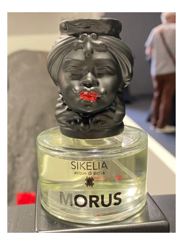 عطر ادکلن موروس سیکلِیا - Morus Sikelia - بررسی، قیمت و خرید
