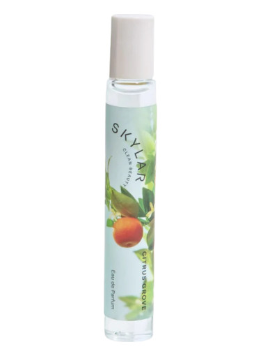 عطر ادکلن سیترس گرو اسکایلر - Citrus Grove Skylar - بررسی، قیمت و خرید