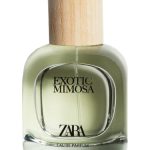 عطر ادکلن اگزاتیک میموزا زارا - Exotic Mimosa Zara - بررسی، قیمت و خرید