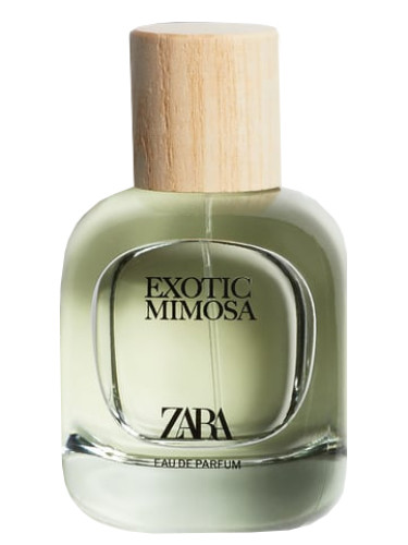 عطر ادکلن اگزاتیک میموزا زارا - Exotic Mimosa Zara - بررسی، قیمت و خرید