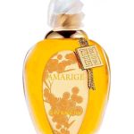 عطر ادکلن امه‌ریج میموزا د گرس میلزیم ژیوانشی - Amarige Mimosa de Grasse Millesime Givenchy - بررسی، قیمت و خرید