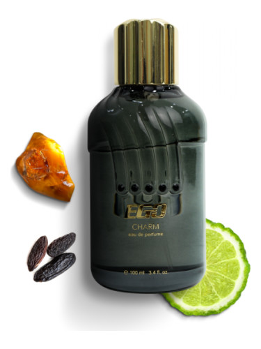 عطر ادکلن ایگو چارم ماسک - EGO - CHARM Musk - بررسی، قیمت و خرید