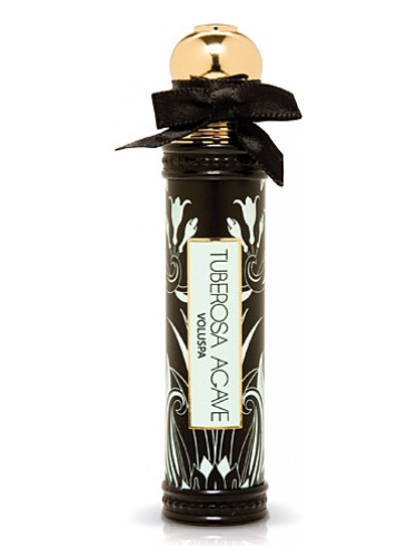 عطر ادکلن آگاو توبروسا وولوسپا - Tuberosa Agave Voluspa - بررسی، قیمت و خرید