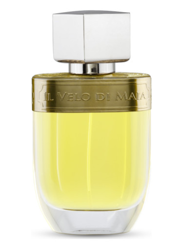 عطر ادکلن ایلو وِلو دی مایا اولنتیسیما - Il Velo di Maia Aulentissima - بررسی، قیمت و خرید