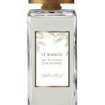 عطر ادکلن ته بیانکو گاندینی ۱۸۹۶ - Tè Bianco Gandini 1896 - بررسی، قیمت و خرید