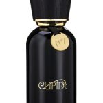 عطر ادکلن کیوپید نامبر سون پرفیوم کیوپید پرفیومز - Cupid No.7 Parfum Cupid Perfumes - بررسی، قیمت و خرید