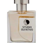 عطر ادکلن تیگر ال استودیو الفکتیوو - Tigre Ale Studio Olfativo - بررسی، قیمت و خرید