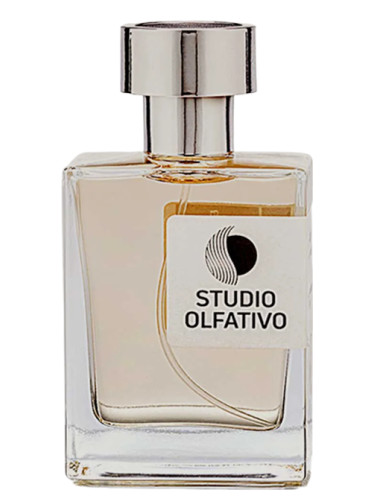 عطر ادکلن تیگر ال استودیو الفکتیوو - Tigre Ale Studio Olfativo - بررسی، قیمت و خرید