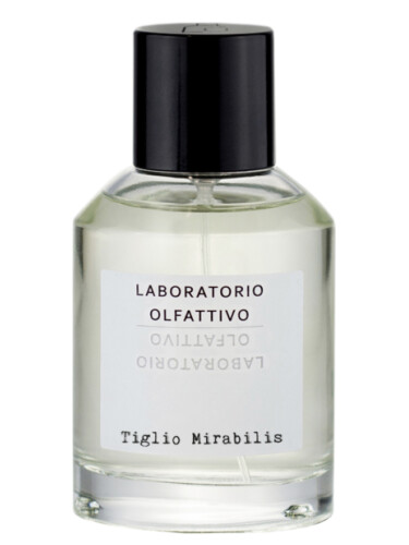 عطر ادکلن تیلیو میرابیلیس لابراتوریو الفاتیوو - Tiglio Mirabilis Laboratorio Olfattivo - بررسی، قیمت و خرید