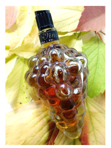 عطر ادکلن وینوگاز دزینتارس - Vinogas (Виноград) Dzintars - بررسی، قیمت و خرید
