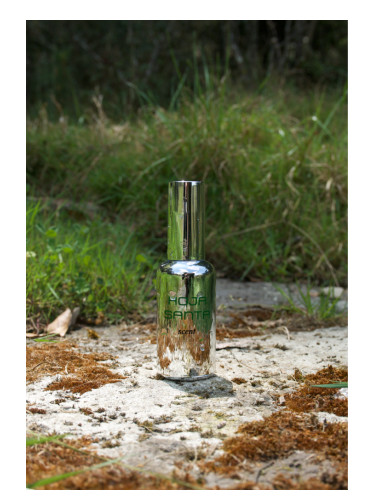 عطر ادکلن هوخا سانتا سنت - Hoja Santa Scent - بررسی، قیمت و خرید