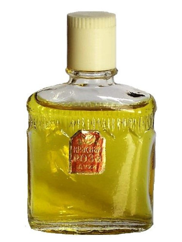 عطر ادکلن کراسنایا روزا نووایا زاریا - Красная Роза (Red Rose) Новая Заря (The New Dawn) - بررسی، قیمت و خرید