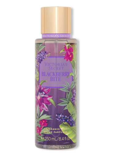 عطر ادکلن بِلَکبِری بایت ویکتوریا سیکرت - Blackberry Bite Victoria's Secret - بررسی، قیمت و خرید