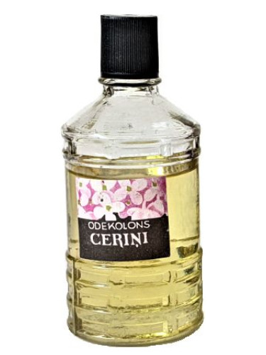 عطر ادکلن سیرنی دزینتارس - Cēriņi (Сирень) Dzintars - بررسی، قیمت و خرید