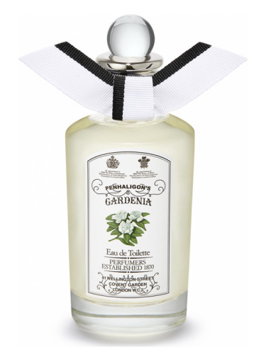 عطر ادکلن گاردنیا پنالیگونز - Gardenia Penhaligon's - بررسی، قیمت و خرید