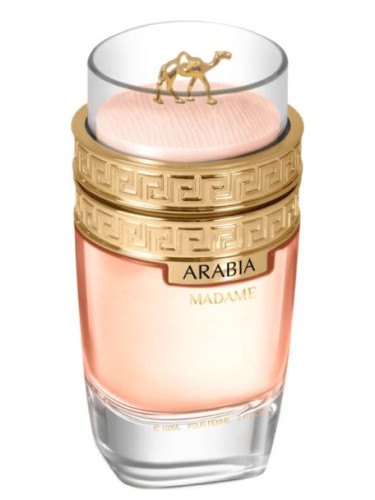عطر ادکلن عربیا مادام لشامو - Arabia Madame Le Chameau - بررسی، قیمت و خرید