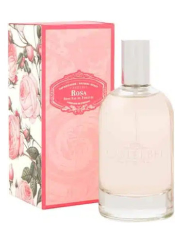 عطر ادکلن رُزا کاستلبل - Rosa Castelbel - بررسی، قیمت و خرید