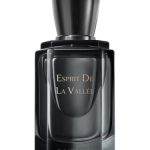 عطر ادکلن اسپریت د لا واله بویتون - Esprit De La Vallée 卧游 Boitown 冰希黎 - بررسی، قیمت و خرید