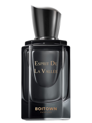 عطر ادکلن اسپریت د لا واله بویتون - Esprit De La Vallée 卧游 Boitown 冰希黎 - بررسی، قیمت و خرید