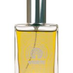 عطر ادکلن فریگرنس نامبر ایتین سیلک رود واید آی - Fragrance No 18 Silk Road WiDEYE - بررسی، قیمت و خرید