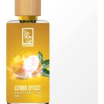 عطر ادکلن سیترس افکت دی دعا برند - Citrus Effect The Dua Brand - بررسی، قیمت و خرید