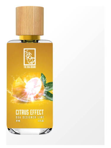 عطر ادکلن سیترس افکت دی دعا برند - Citrus Effect The Dua Brand - بررسی، قیمت و خرید