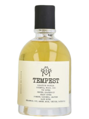 عطر ادکلن تمپست مودون - Tempest Moudon - بررسی، قیمت و خرید