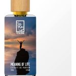 عطر ادکلن مینینگ آو لایف دوآ برند - Meaning Of Life The Dua Brand - بررسی، قیمت و خرید