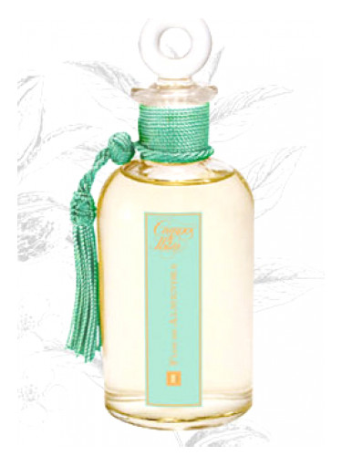 عطر ادکلن فلور دِ آلمندرا کامپوس د ایبیزا - Flor de Almendra Campos de Ibiza - بررسی، قیمت و خرید