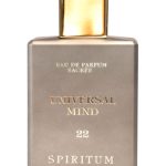 عطر ادکلن یونیورسال مایند ۲۲ اسپیریتوم - 22 Universal Mind Spiritum - بررسی، قیمت و خرید