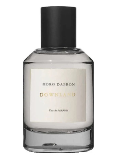 عطر ادکلن دانلند مورو دابرون - Downland Moro Dabron - بررسی، قیمت و خرید